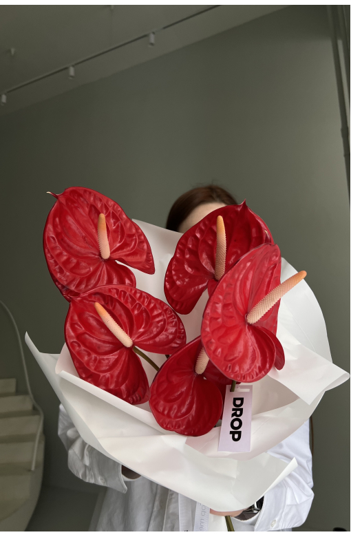 Антуриумы RED LOVE